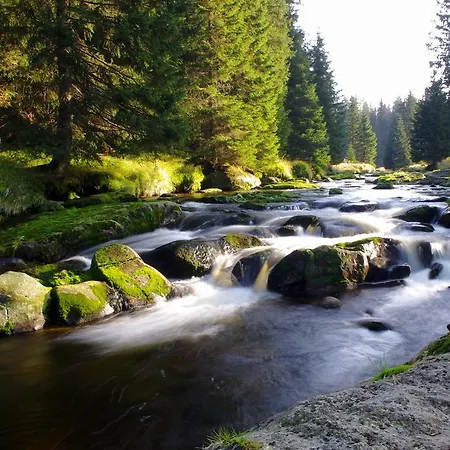 Chalupa Na Peci Želnava Zimmer foto